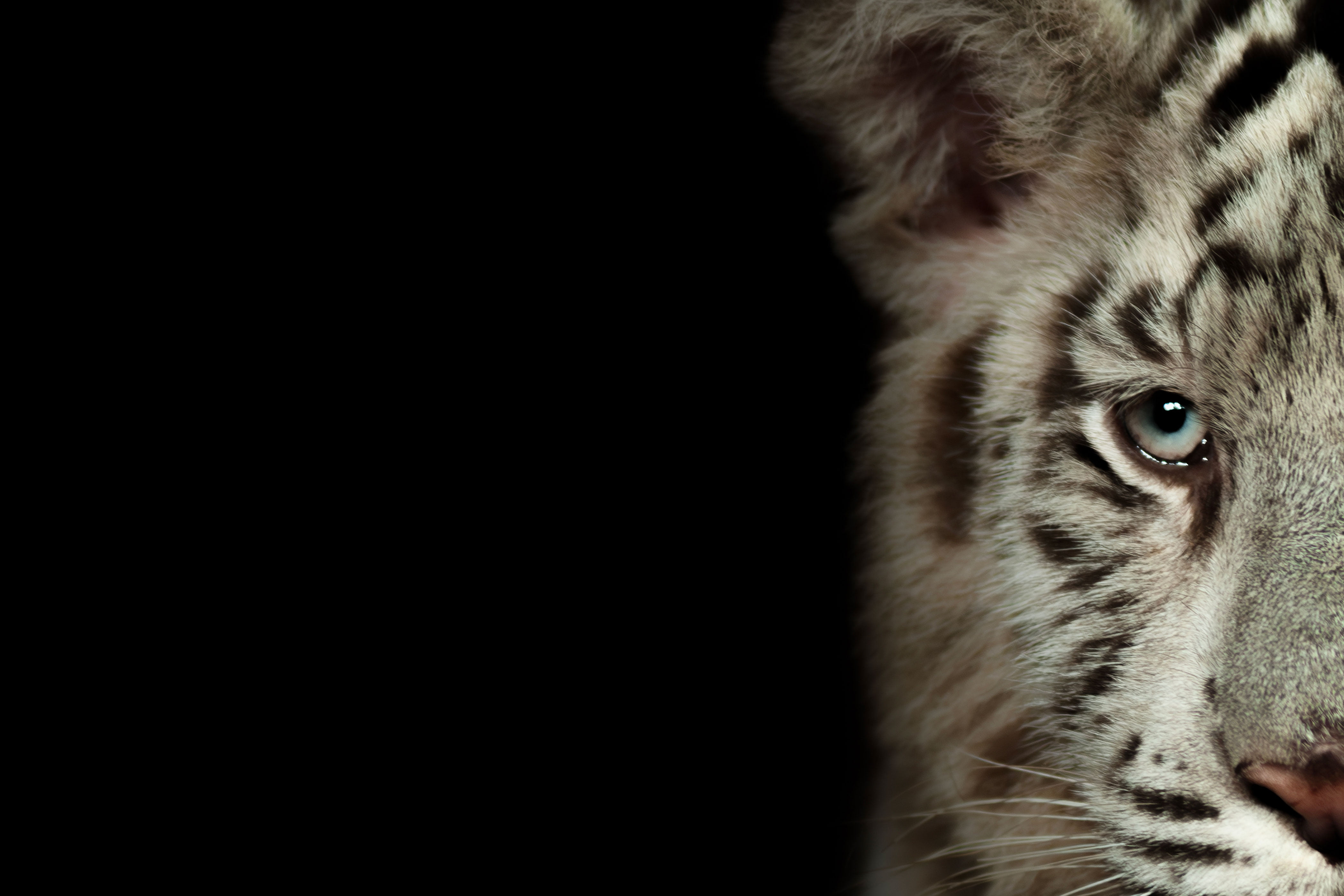 Digital strategi – 7 gode grunner til hvorfor