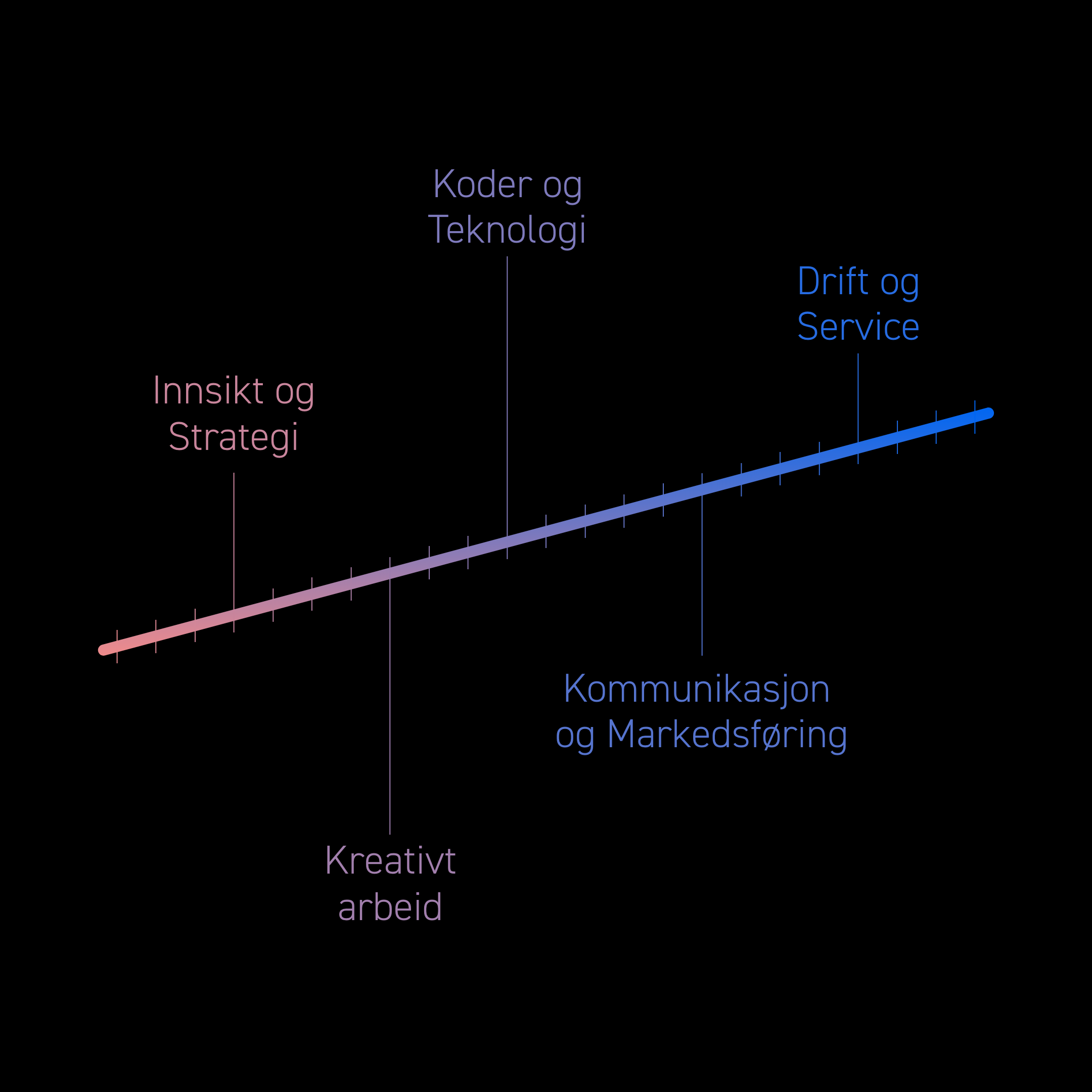 I Screenpartner løfter vi blikket og ser helhetlig på oppgavene som skal løses. Med omfattende in-house erfaring og tett samarbeid med spesialiserte fagfolk, kan vi støtte deg gjennom hele prosessen – fra strategi og idéutvikling til ferdige løsninger.