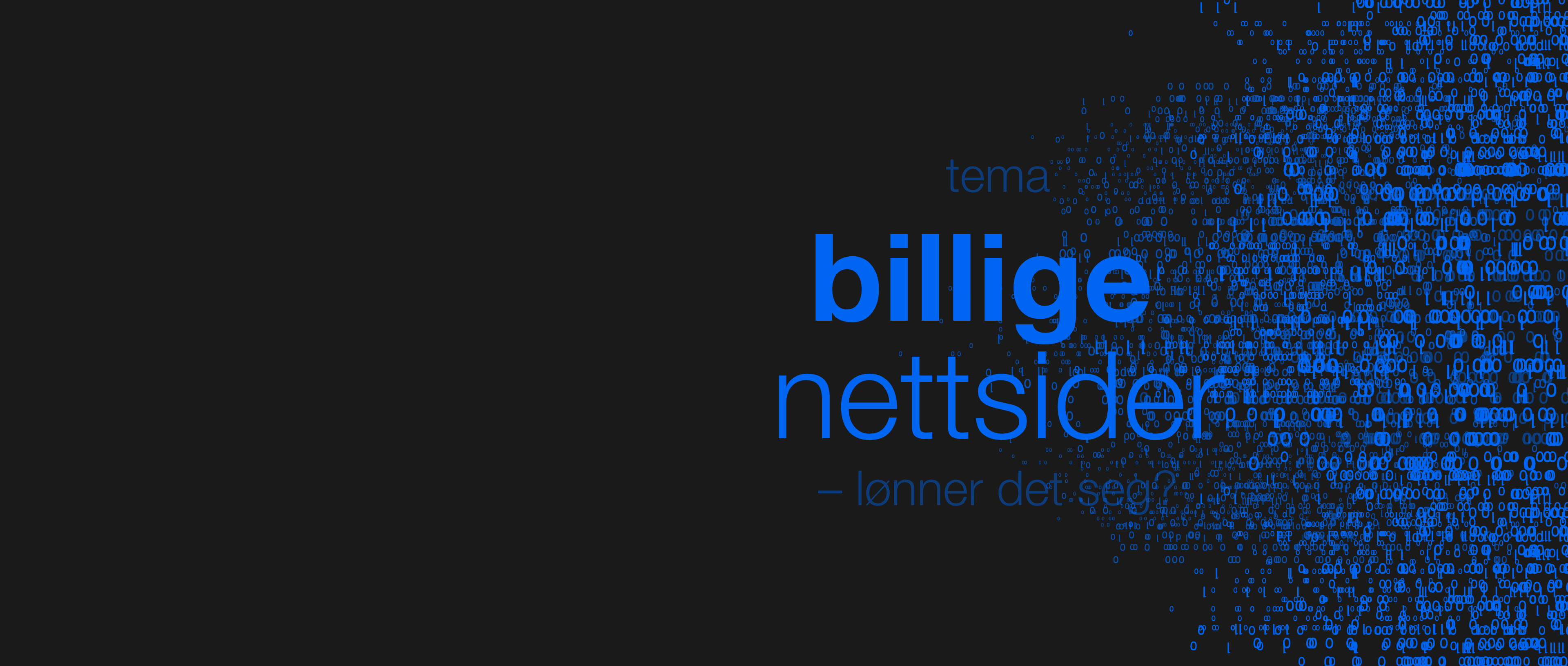 Er «billig» nettside lønnsomt?